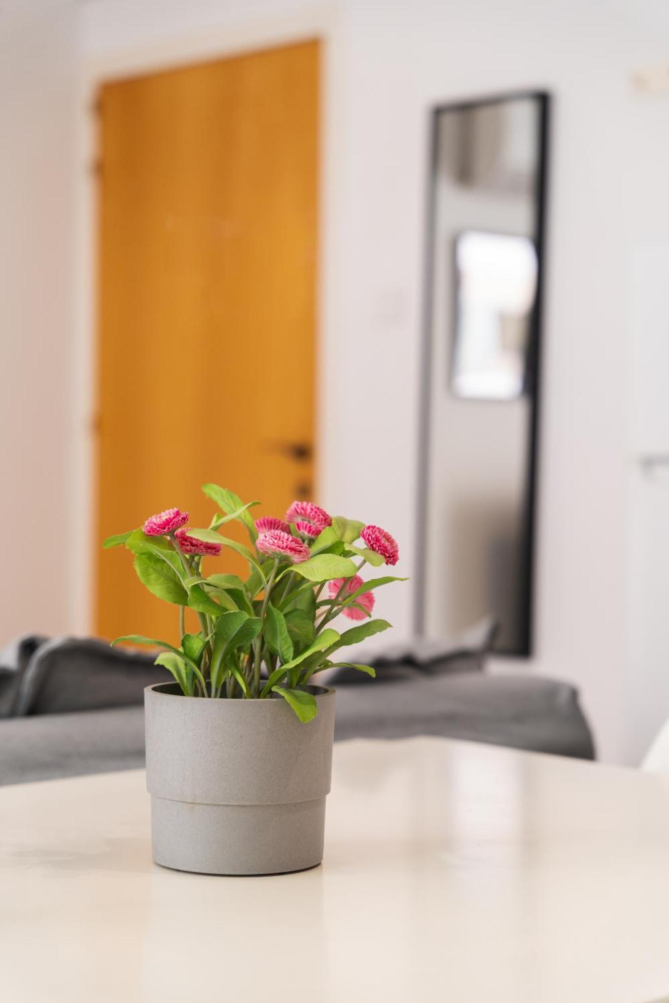 Kave Blue Mackenzie 1 Bdr Flat With Pool Apartment Ларнака Екстериор снимка